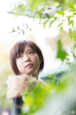 门鱼电影完整版免费版