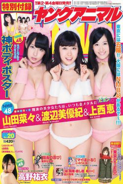 吉普车视频