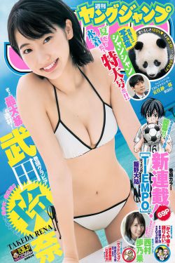 四川肥婆毛多