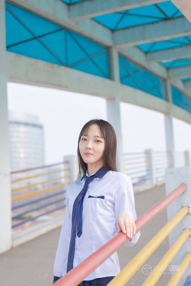 《喜羊羊与灰太狼之奇妙大营救》