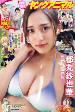 japonensisjava中文