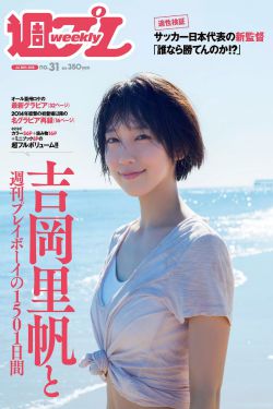 《霹雳侠影之轰定干戈优酷》