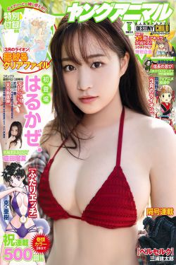 《YY4480》