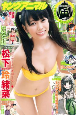 欧美gay片