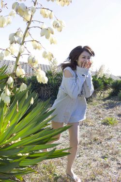 奶水HD高清