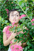 风起陇西小说
