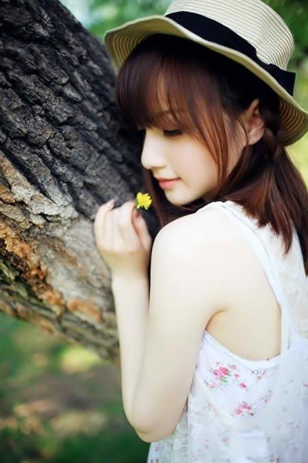 《种子驴》