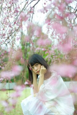 樱花草在线高清免费观看