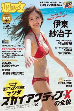杨晓芬小说